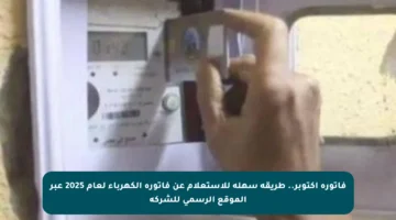 فاتورة أكتوبر.. طريقة سهلة للاستعلام عن فاتورة الكهرباء لعام 2025 عبر الموقع الرسمي للشركة